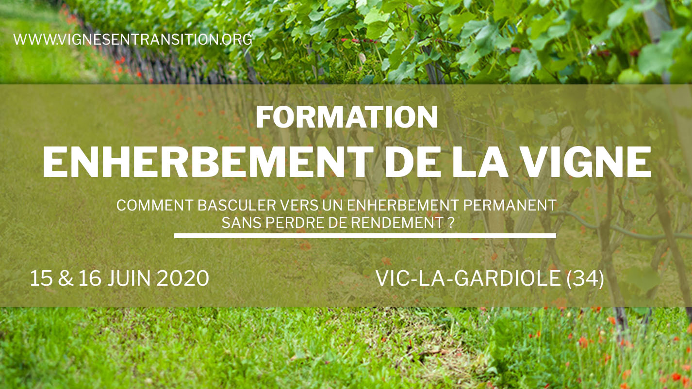 enherbement vignes