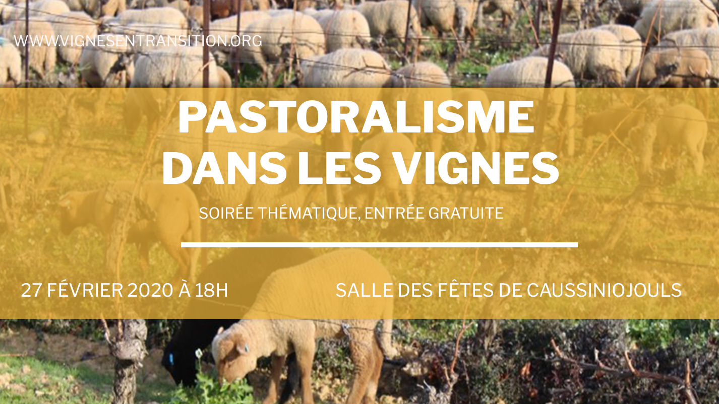 viticulture pastoralisme